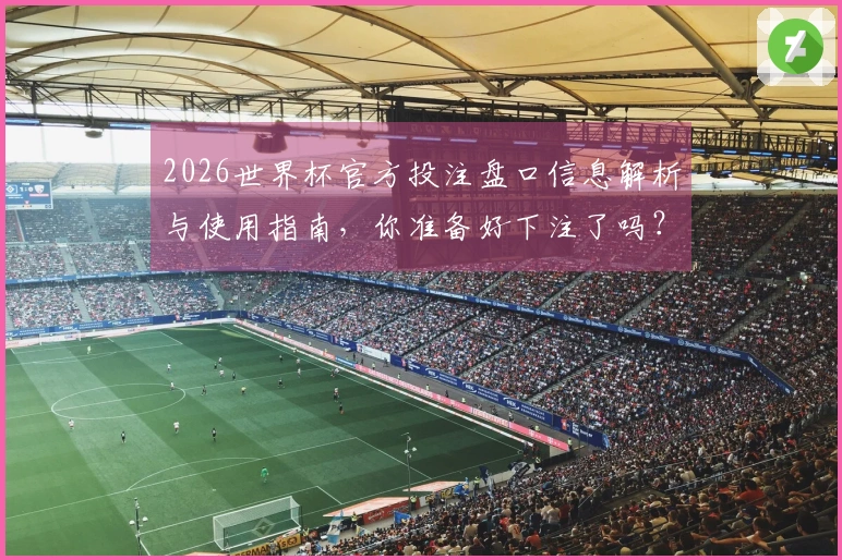 2026世界杯官方投注盘口信息解析与使用指南，你准备好下注了吗？